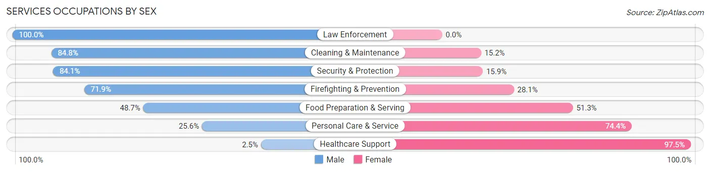 Services Occupations by Sex in Zip Code 72802