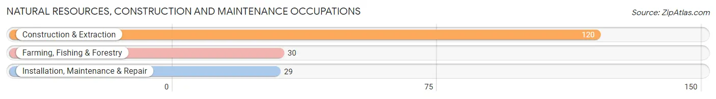 Natural Resources, Construction and Maintenance Occupations in Zip Code 72824