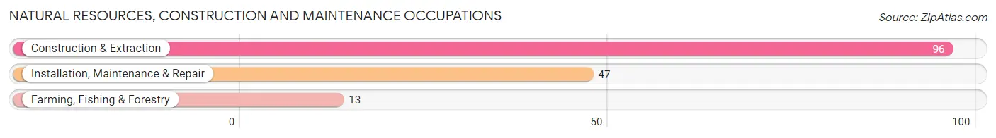 Natural Resources, Construction and Maintenance Occupations in Zip Code 72847