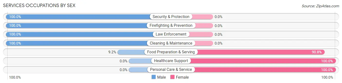 Services Occupations by Sex in Zip Code 72847