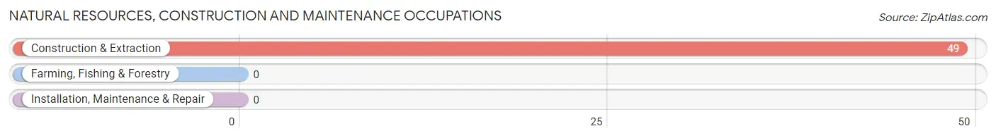 Natural Resources, Construction and Maintenance Occupations in Zip Code 72854