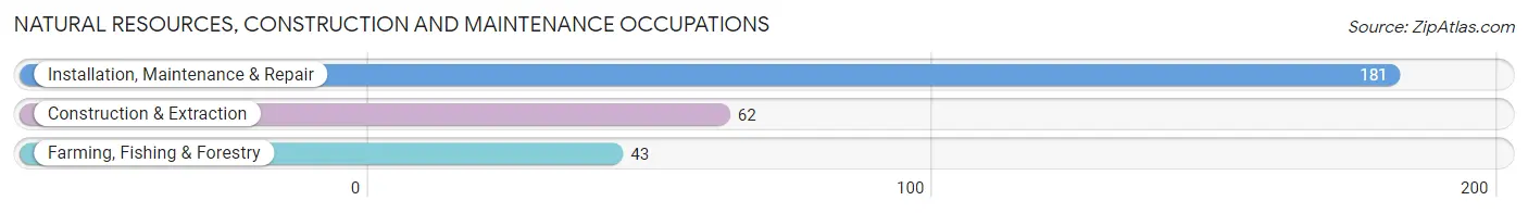 Natural Resources, Construction and Maintenance Occupations in Zip Code 72855