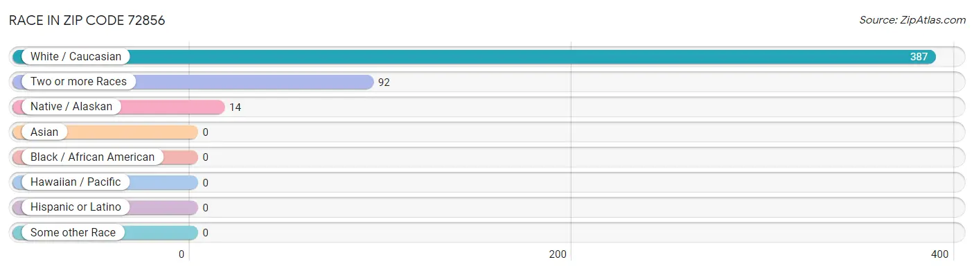 Race in Zip Code 72856