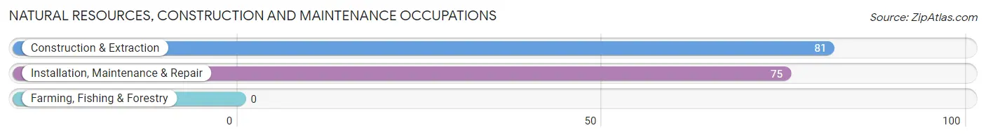 Natural Resources, Construction and Maintenance Occupations in Zip Code 72959