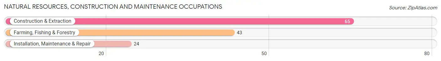 Natural Resources, Construction and Maintenance Occupations in Zip Code 73007