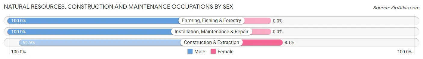 Natural Resources, Construction and Maintenance Occupations by Sex in Zip Code 73030