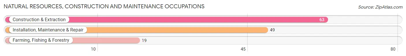 Natural Resources, Construction and Maintenance Occupations in Zip Code 73038