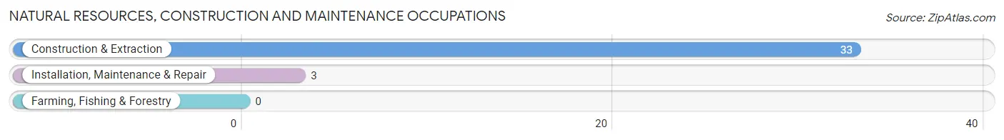 Natural Resources, Construction and Maintenance Occupations in Zip Code 73058