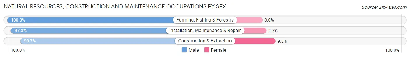 Natural Resources, Construction and Maintenance Occupations by Sex in Zip Code 73059