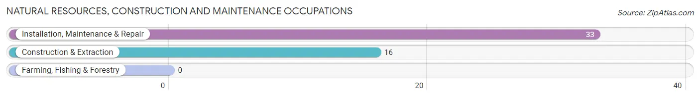 Natural Resources, Construction and Maintenance Occupations in Zip Code 73073