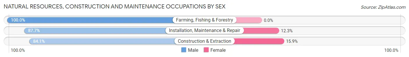 Natural Resources, Construction and Maintenance Occupations by Sex in Zip Code 73078