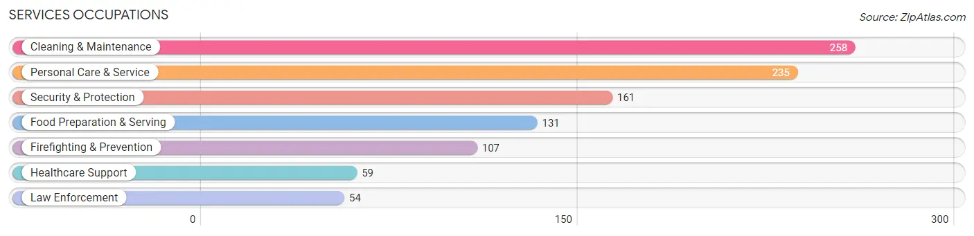 Services Occupations in Zip Code 73078