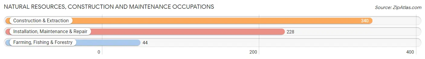 Natural Resources, Construction and Maintenance Occupations in Zip Code 73080