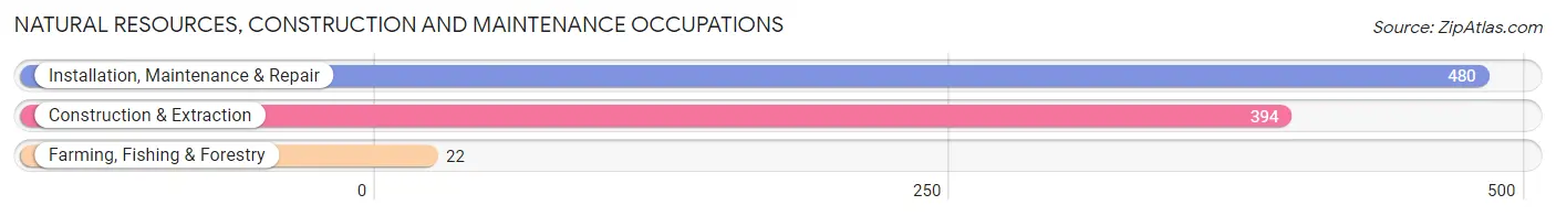 Natural Resources, Construction and Maintenance Occupations in Zip Code 73089