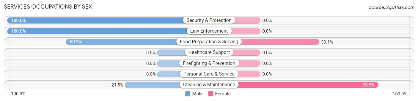 Services Occupations by Sex in Zip Code 73102