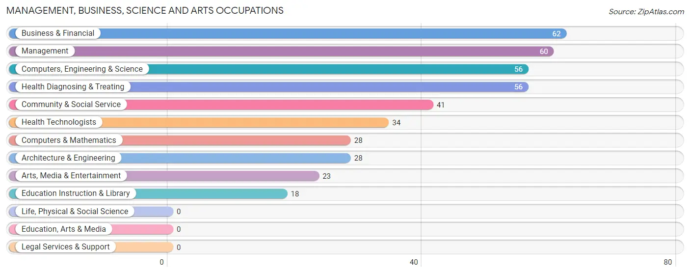 Management, Business, Science and Arts Occupations in Zip Code 73141