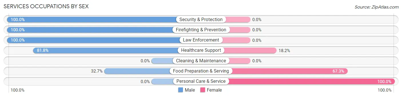 Services Occupations by Sex in Zip Code 73145