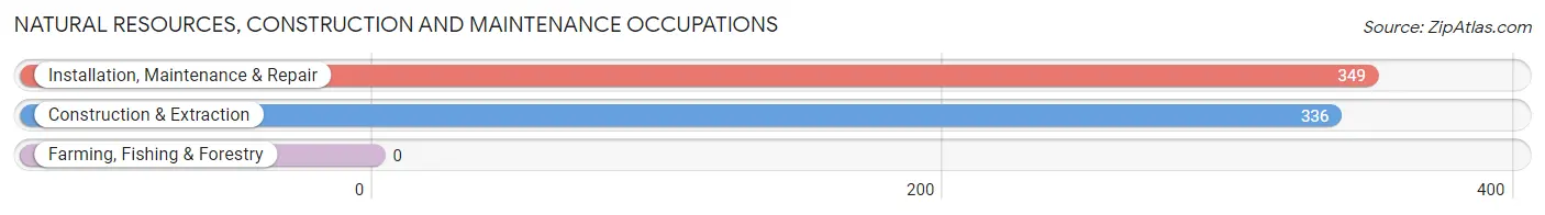 Natural Resources, Construction and Maintenance Occupations in Zip Code 73162