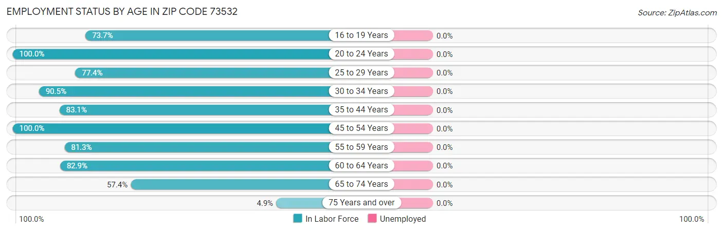 Employment Status by Age in Zip Code 73532