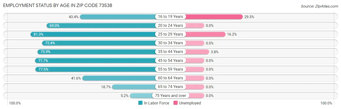 Employment Status by Age in Zip Code 73538