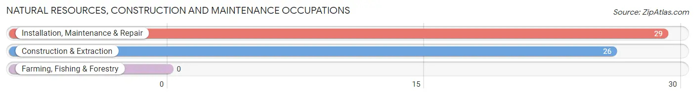 Natural Resources, Construction and Maintenance Occupations in Zip Code 73560