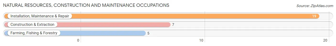 Natural Resources, Construction and Maintenance Occupations in Zip Code 73565