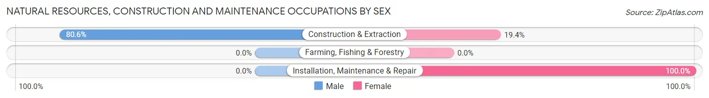 Natural Resources, Construction and Maintenance Occupations by Sex in Zip Code 73567