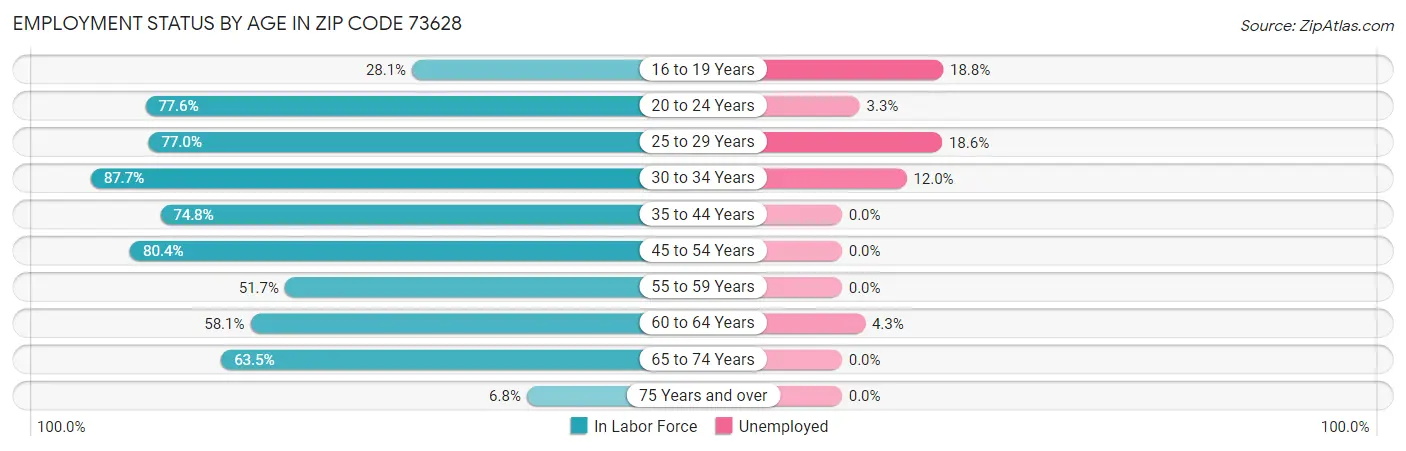 Employment Status by Age in Zip Code 73628
