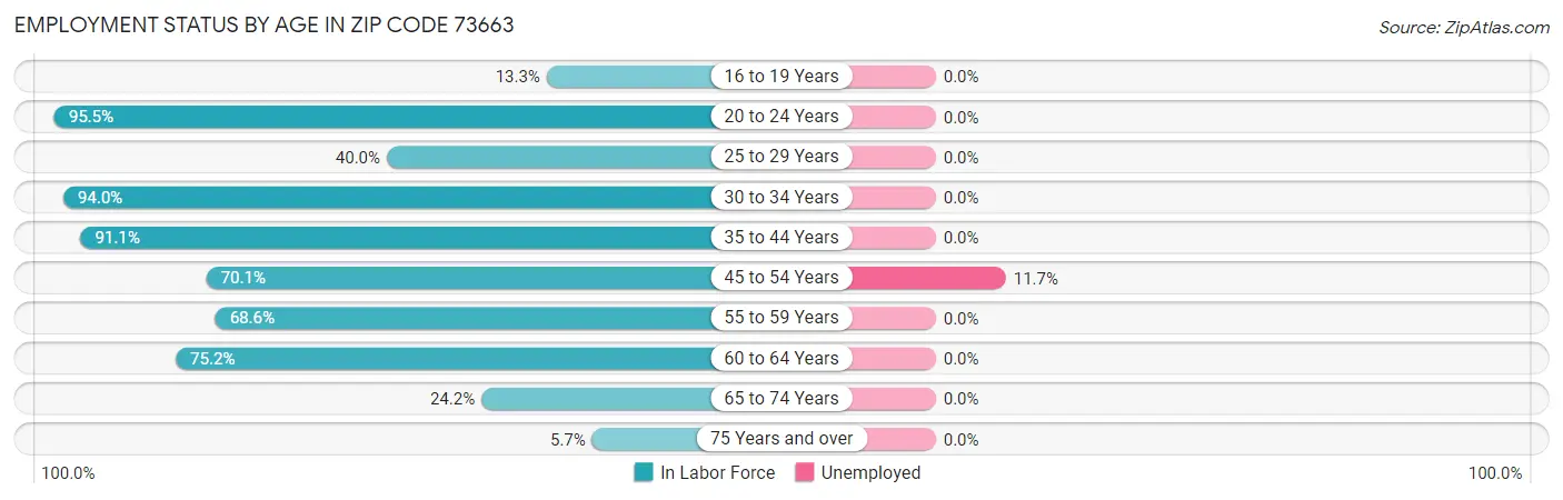 Employment Status by Age in Zip Code 73663