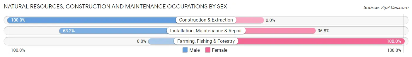 Natural Resources, Construction and Maintenance Occupations by Sex in Zip Code 73664