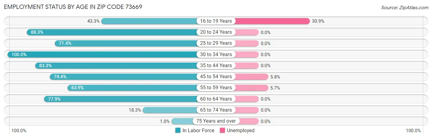 Employment Status by Age in Zip Code 73669