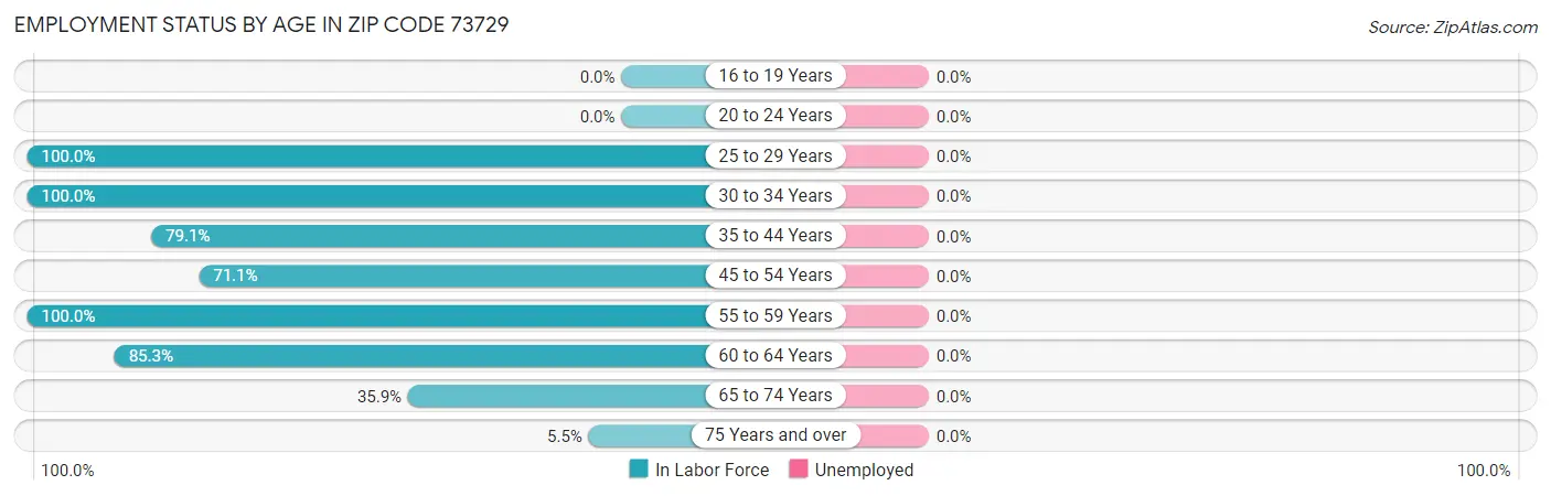 Employment Status by Age in Zip Code 73729