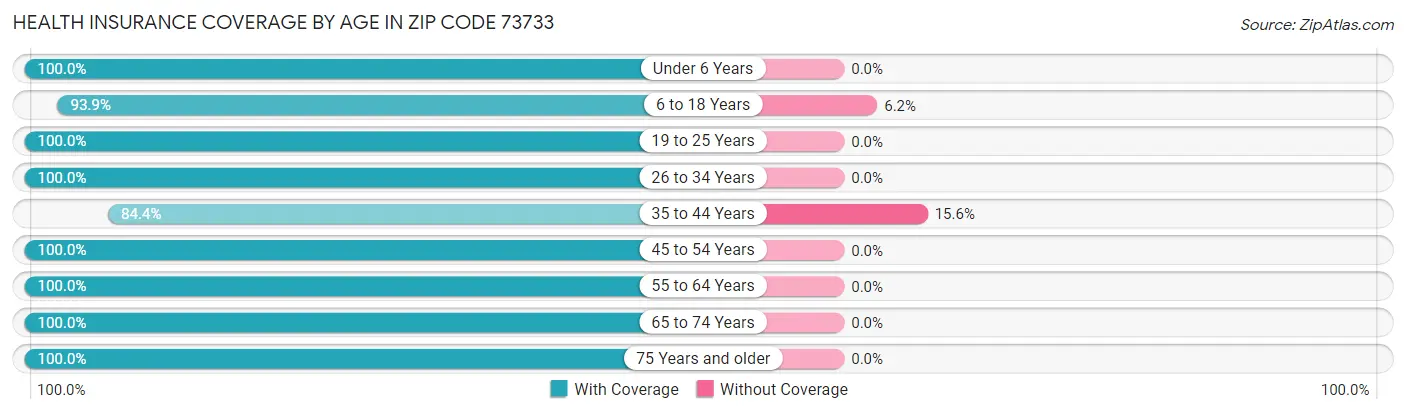 Health Insurance Coverage by Age in Zip Code 73733