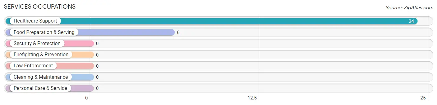 Services Occupations in Zip Code 73733