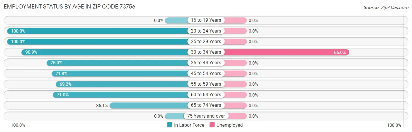 Employment Status by Age in Zip Code 73756