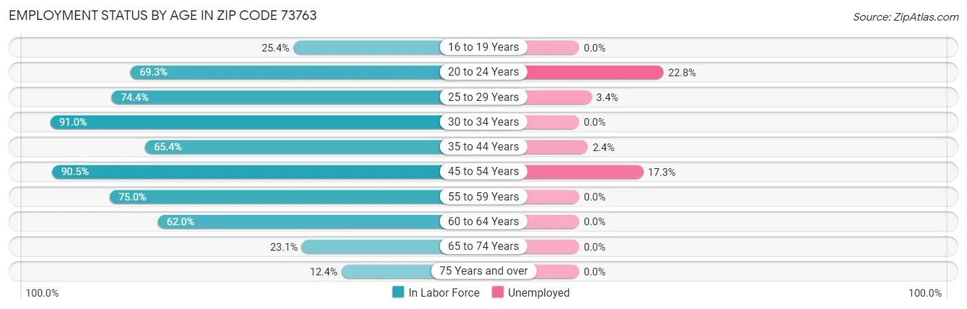 Employment Status by Age in Zip Code 73763