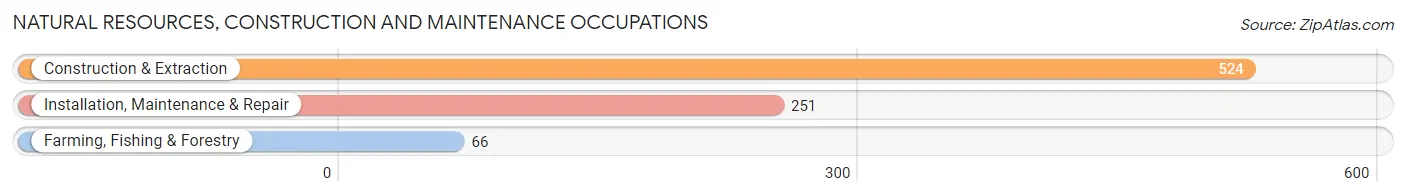 Natural Resources, Construction and Maintenance Occupations in Zip Code 73801