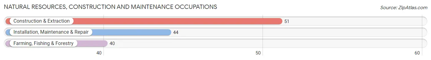 Natural Resources, Construction and Maintenance Occupations in Zip Code 73834