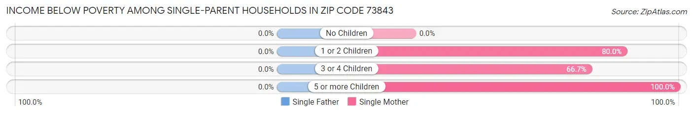 Income Below Poverty Among Single-Parent Households in Zip Code 73843