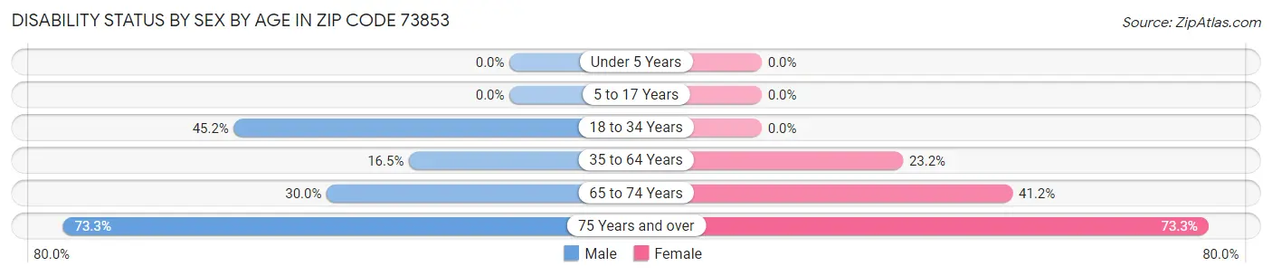 Disability Status by Sex by Age in Zip Code 73853