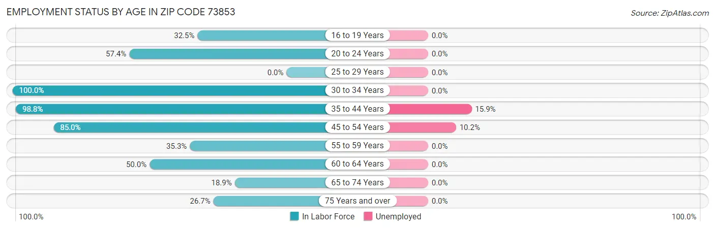 Employment Status by Age in Zip Code 73853