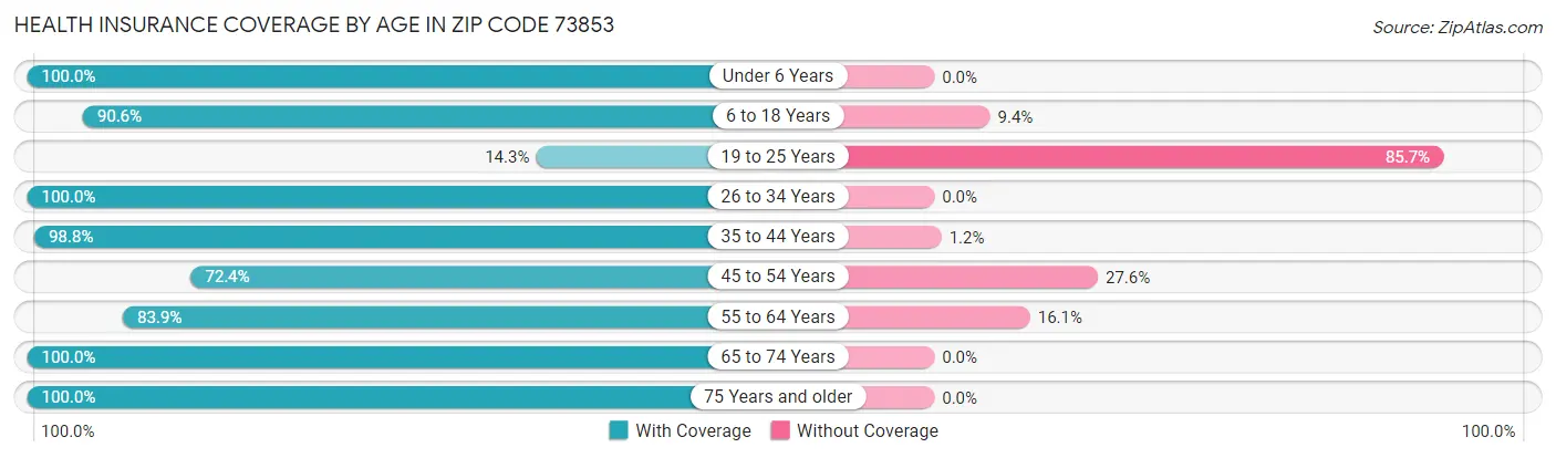 Health Insurance Coverage by Age in Zip Code 73853