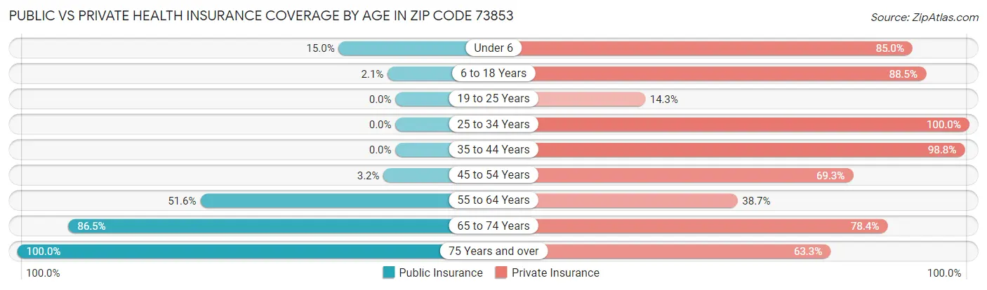 Public vs Private Health Insurance Coverage by Age in Zip Code 73853