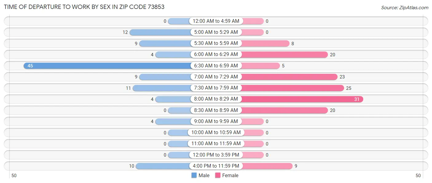 Time of Departure to Work by Sex in Zip Code 73853