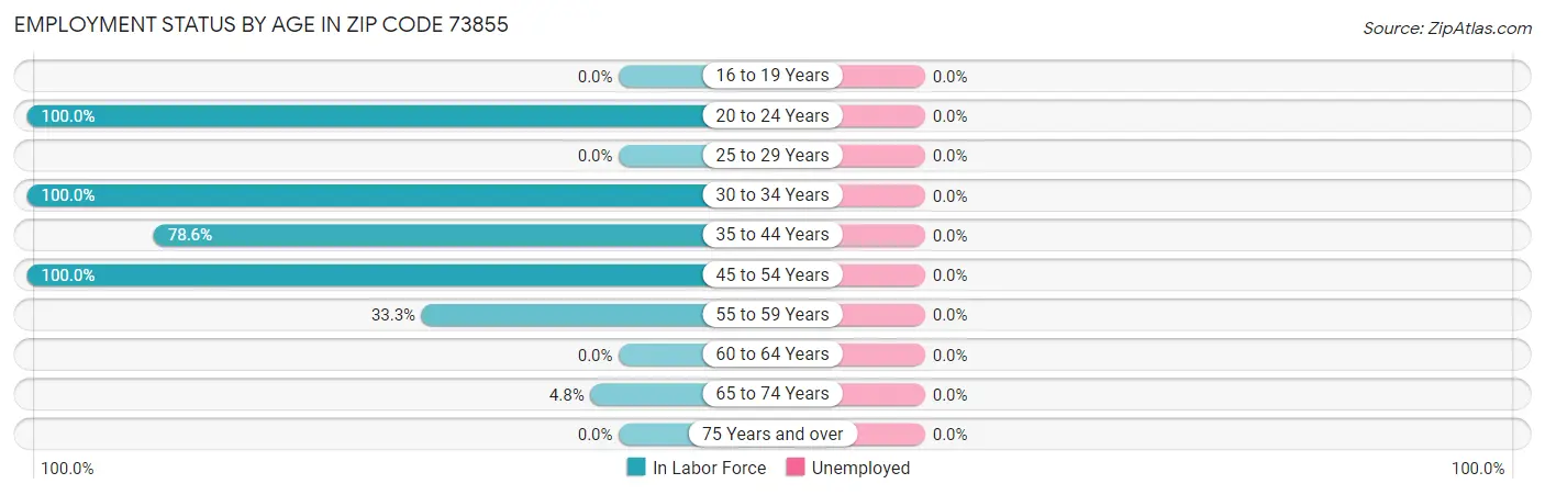 Employment Status by Age in Zip Code 73855