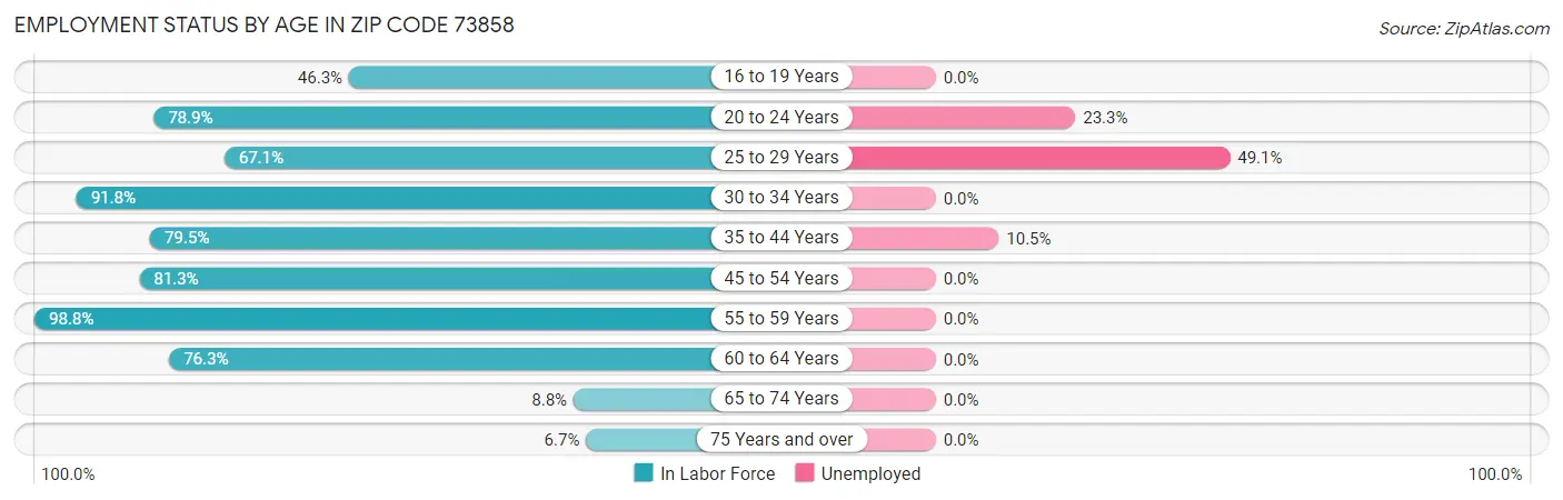 Employment Status by Age in Zip Code 73858