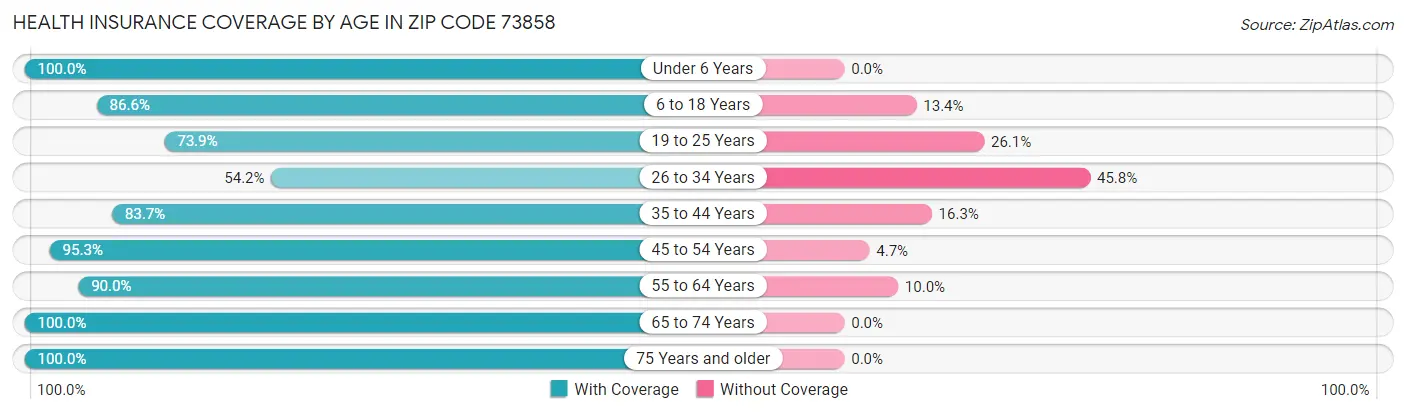 Health Insurance Coverage by Age in Zip Code 73858
