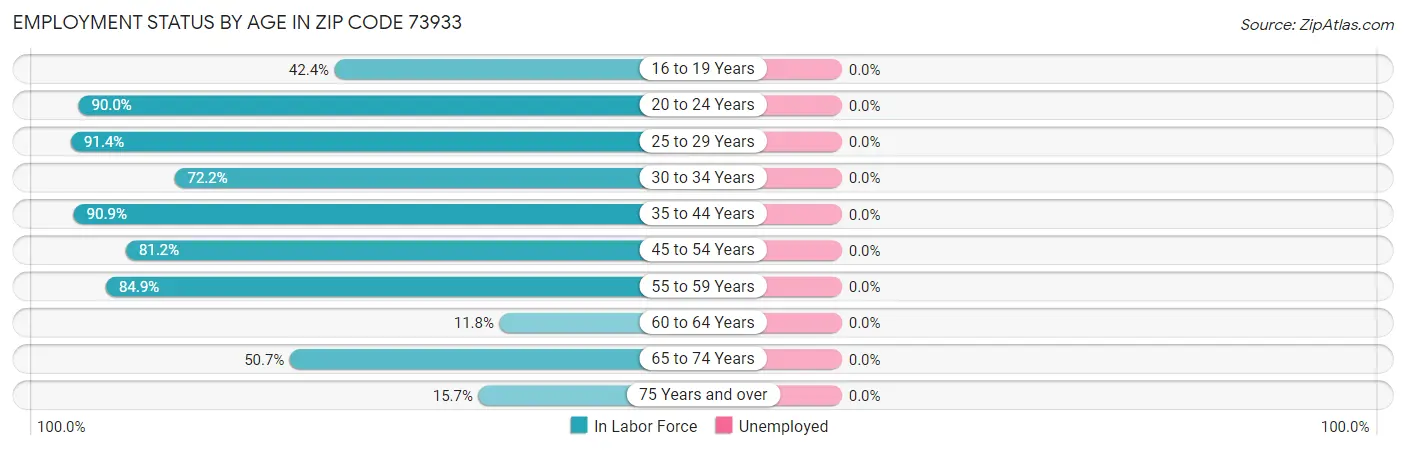 Employment Status by Age in Zip Code 73933