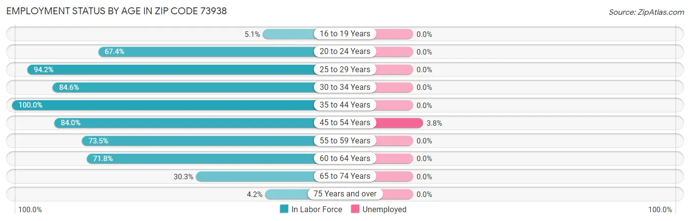 Employment Status by Age in Zip Code 73938