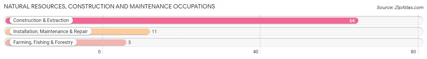 Natural Resources, Construction and Maintenance Occupations in Zip Code 74022